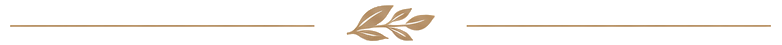 Divider_guides (1) Divider_guides (1)